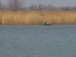 (20.) sos10.jpg