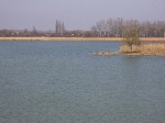 (15.) sos15.jpg