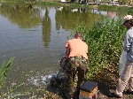 (11.) vidampark13.jpg