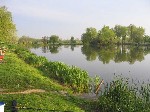 (7.) vidampark3.jpg
