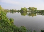 (6.) vidampark4.jpg