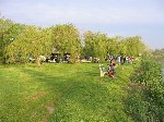 (5.) vidampark5.jpg
