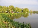 (4.) vidampark6.jpg