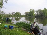 (3.) vidampark7.jpg