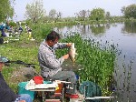 (2.) vidampark8.jpg