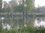 (1.) vidampark9.jpg