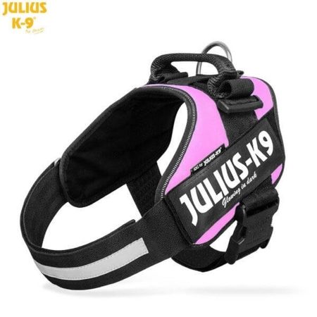 Julius-K9 IDC Powerhám