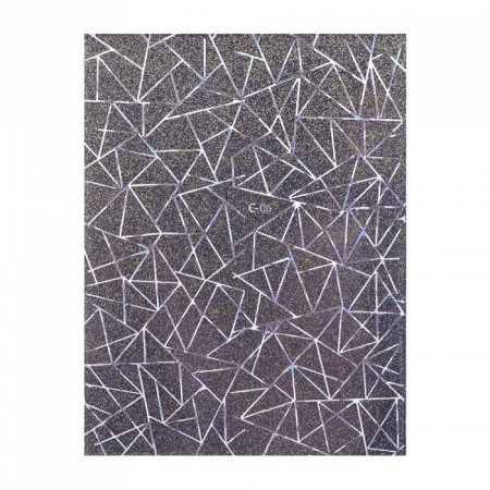 C06 Holo Silver ()