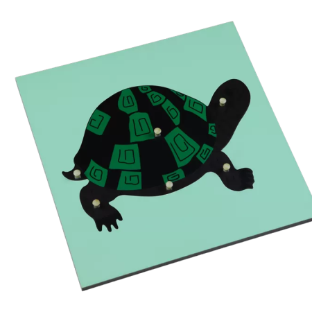 Puzzle - teknősbéka