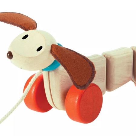 Boldog kölyökkutya