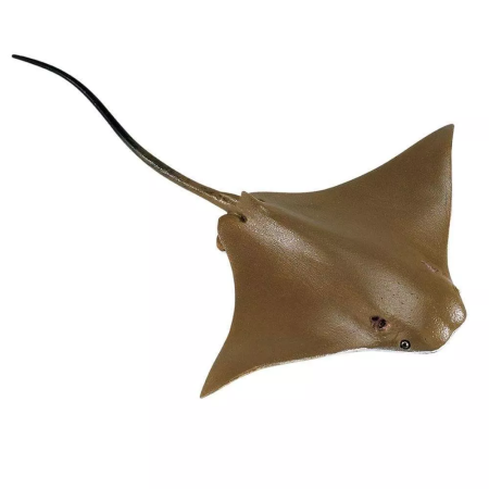 Figura - Atlanti Maran
