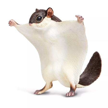 Figura - Gyapjas repülőmókus