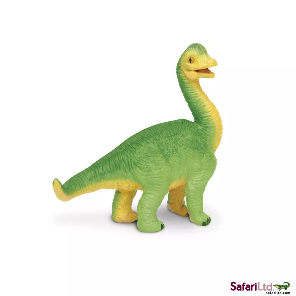 Brachiosaurus kölyök