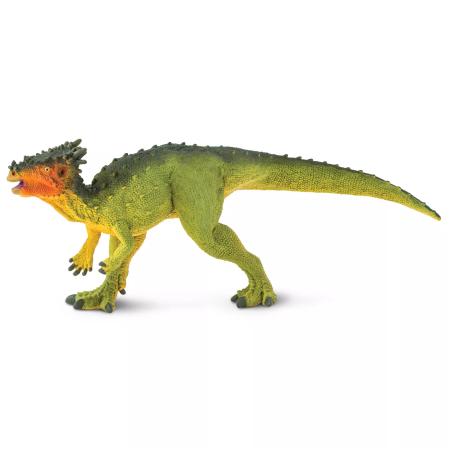 Figura - Dracorex