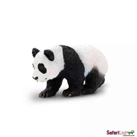 Panda kölyök