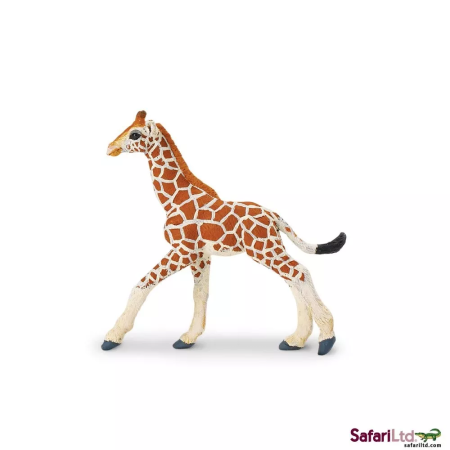 Safari Ltd. Hálós zsiráfkölyök