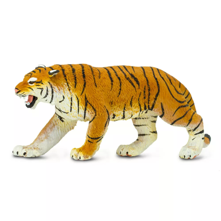 Bengáli tigris