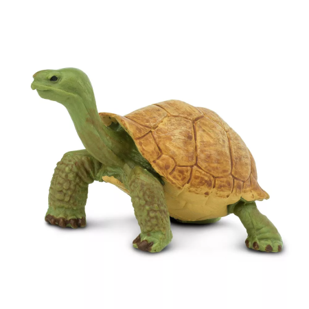 Figura - Óriás teknős