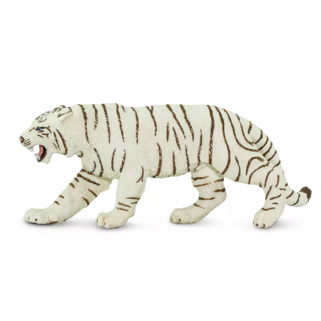 Bengáli fehér tigris