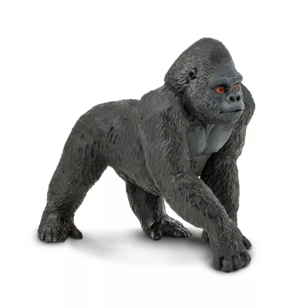 Nyugati gorilla