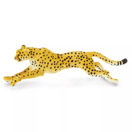 Gepard