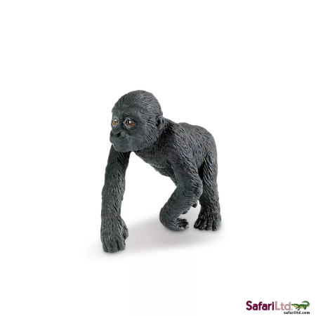 Alföldi gorilla kölyök