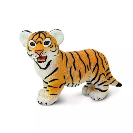 Bengáli tigris kölyök