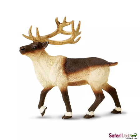 Szo