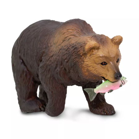 Grizzly medve