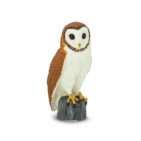 Figura - Gyöngybagoly