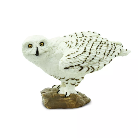 Figura - Hóbagoly