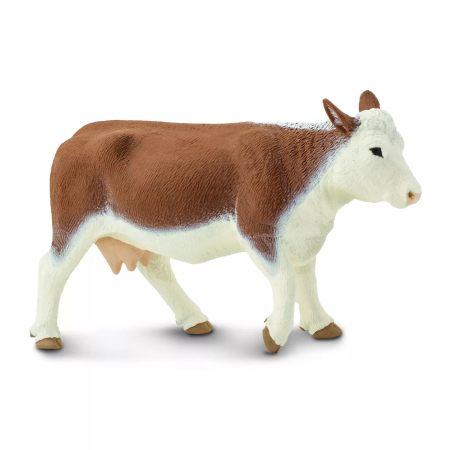 Figura - Hereford tehén