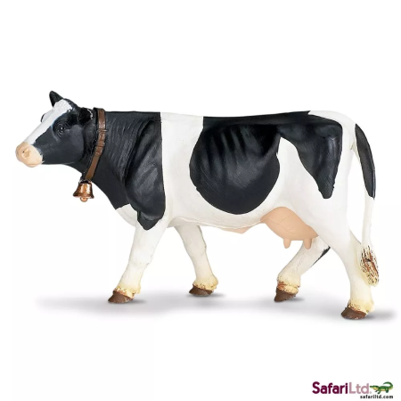 Holstein tehén