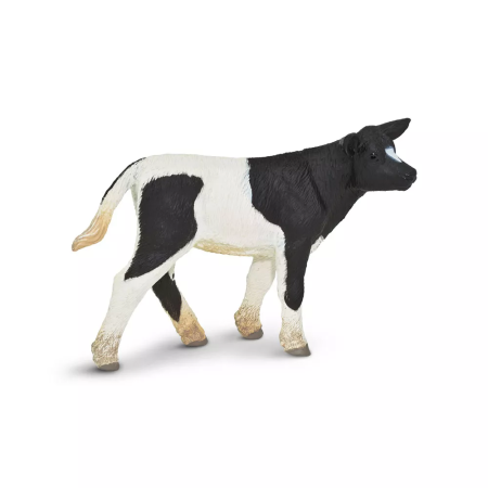 Holstein borjú