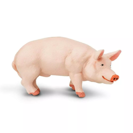 Figura - Házi sertés kanja