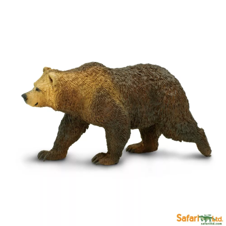 Grizzly medve