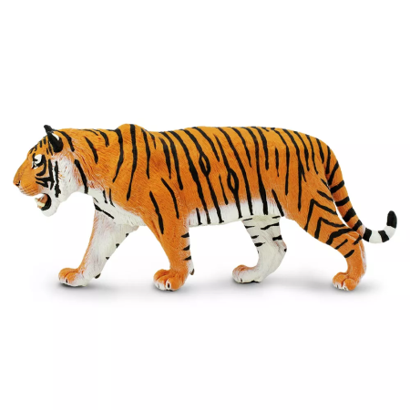 Ussuri tigris