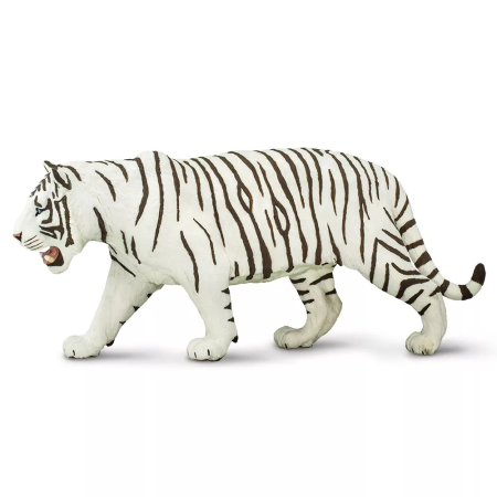 Fehér usszuri tigris