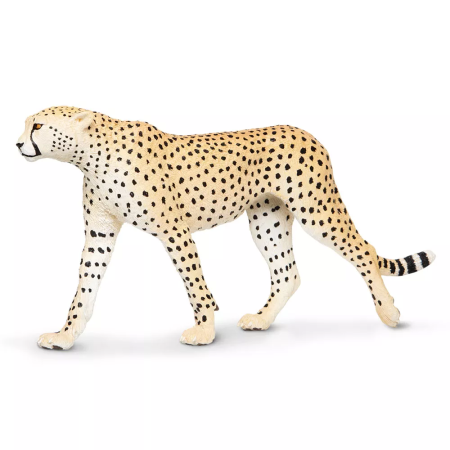 Gepard