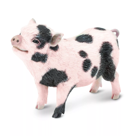 Safari Ltd. Figura - Vietnámi malac