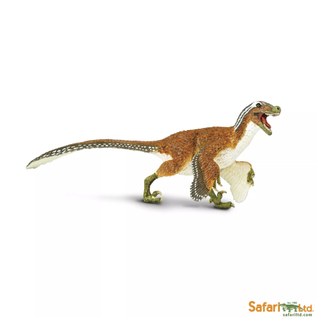 Velociraptor - tollas