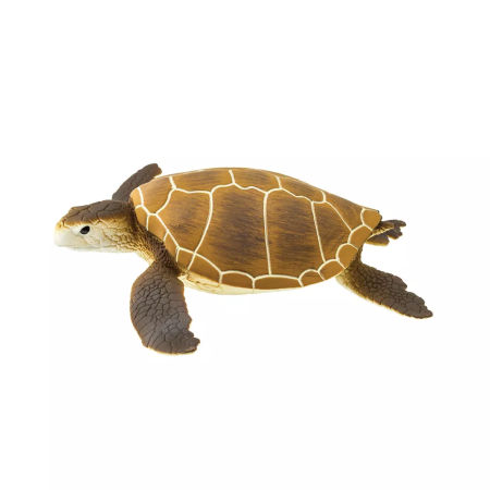 Figura - Óriás tengeri teknős