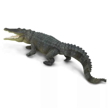 Tengeri krokodil