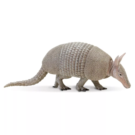Armadilló