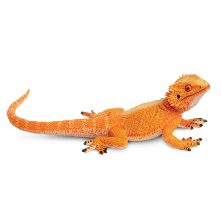 Figura - Szakállas agáma
