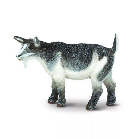 Figura - Törpe kecske