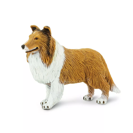 Figura - Collie