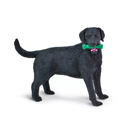 Fekete labrador