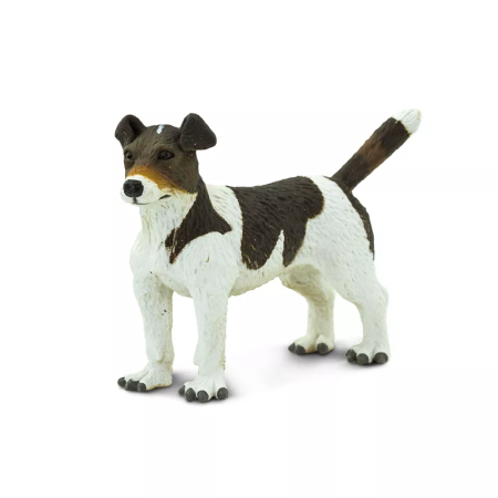 Jack Russel terrier