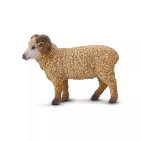 Figura - Kos